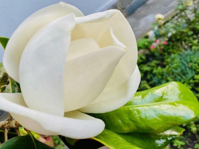 Гостевой дом Олимпийский Кабардинка-49