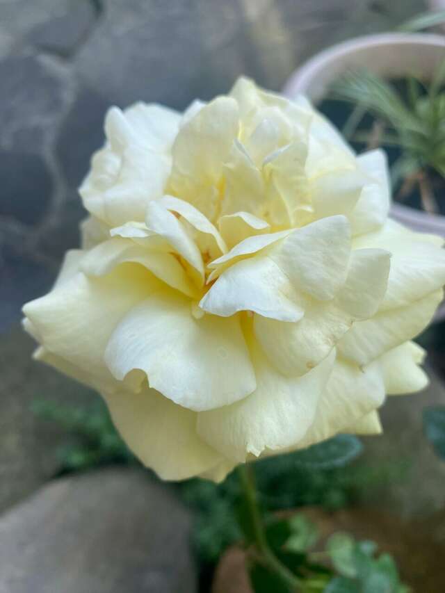 Гостевой дом Олимпийский Кабардинка-104