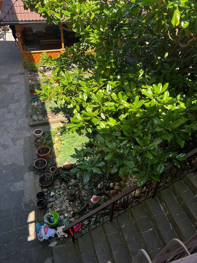 Гостевой дом Олимпийский Кабардинка-107