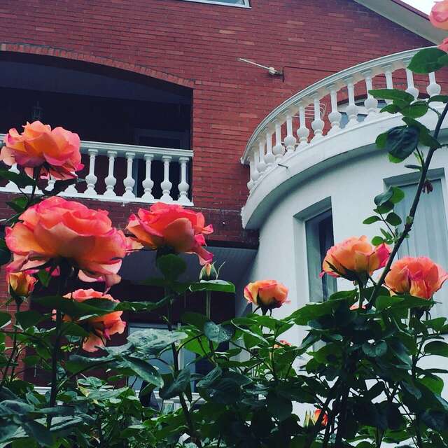 Гостевой дом Олимпийский Кабардинка-52