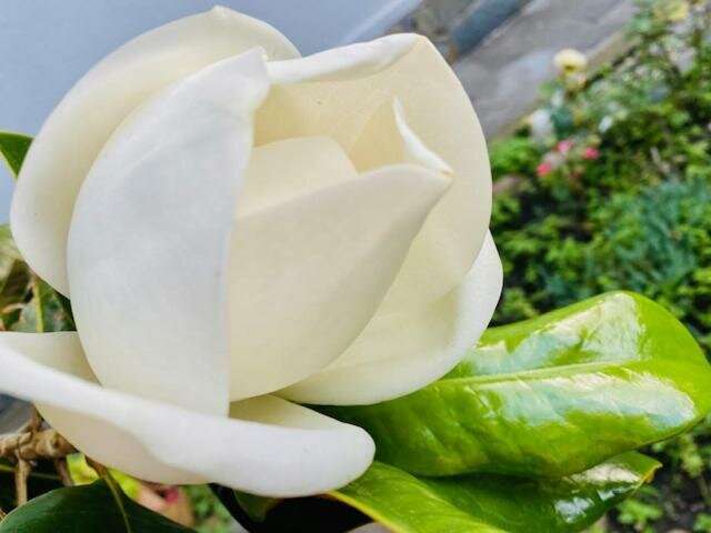 Гостевой дом Олимпийский Кабардинка-48